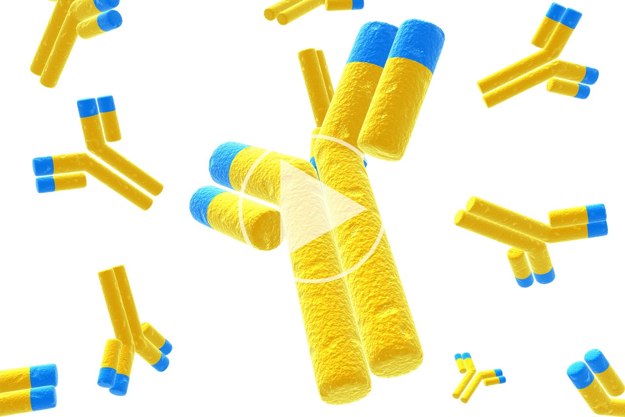 Considerations for Ligand Binding Assay Platforms how to choose the