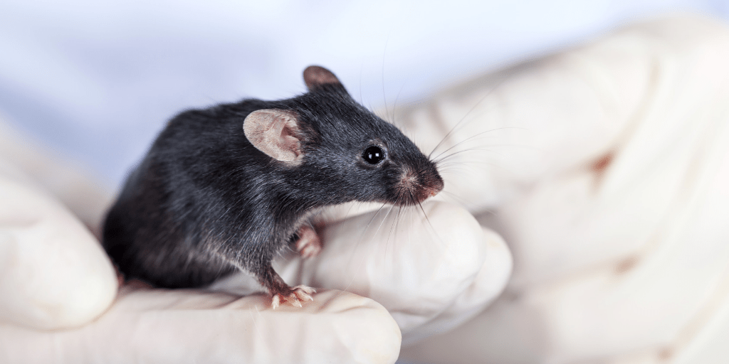 Land O'Lakes Innovative methodologies for large molecule analysis in