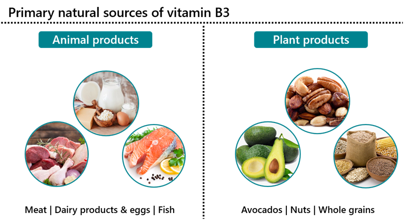 Learn About Your Vitamins And Minerals: Vitamin B3 And Copper - Bioanalyt