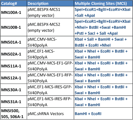 Minicircle DNA Vector Technology NonIntegrative Sustained Expression