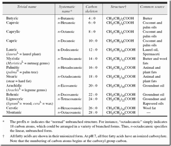 Fatty acids are the Building Blocks of Fats and Oils 2020