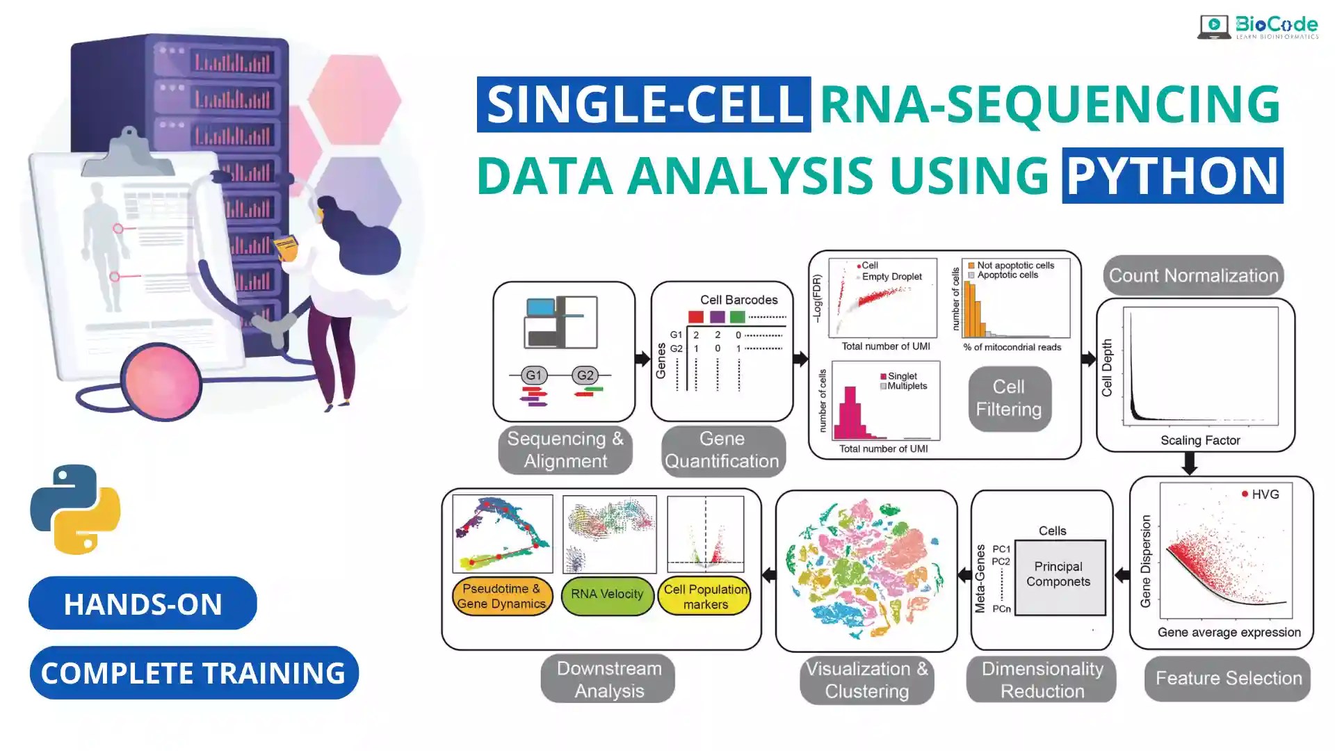 Handson SingleCell RNASequencing Data Analysis Using Python