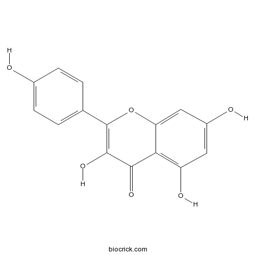 Kaempferol CAS520183 Apoptosis inducer;antioxidant;flavonoid For