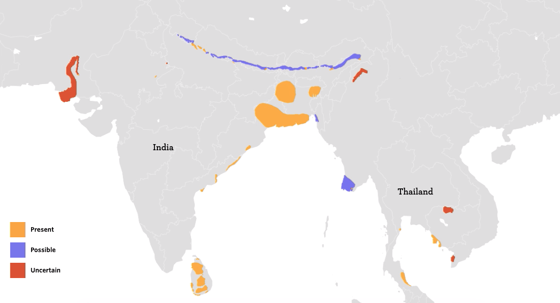 Fishing Cat’s Cradle bioGraphic