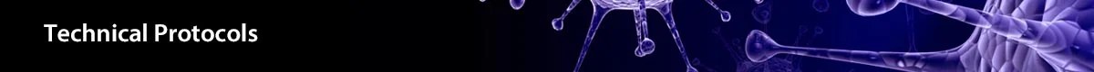 Protocol Immunohistochemistry Protocol for Frozen Sections