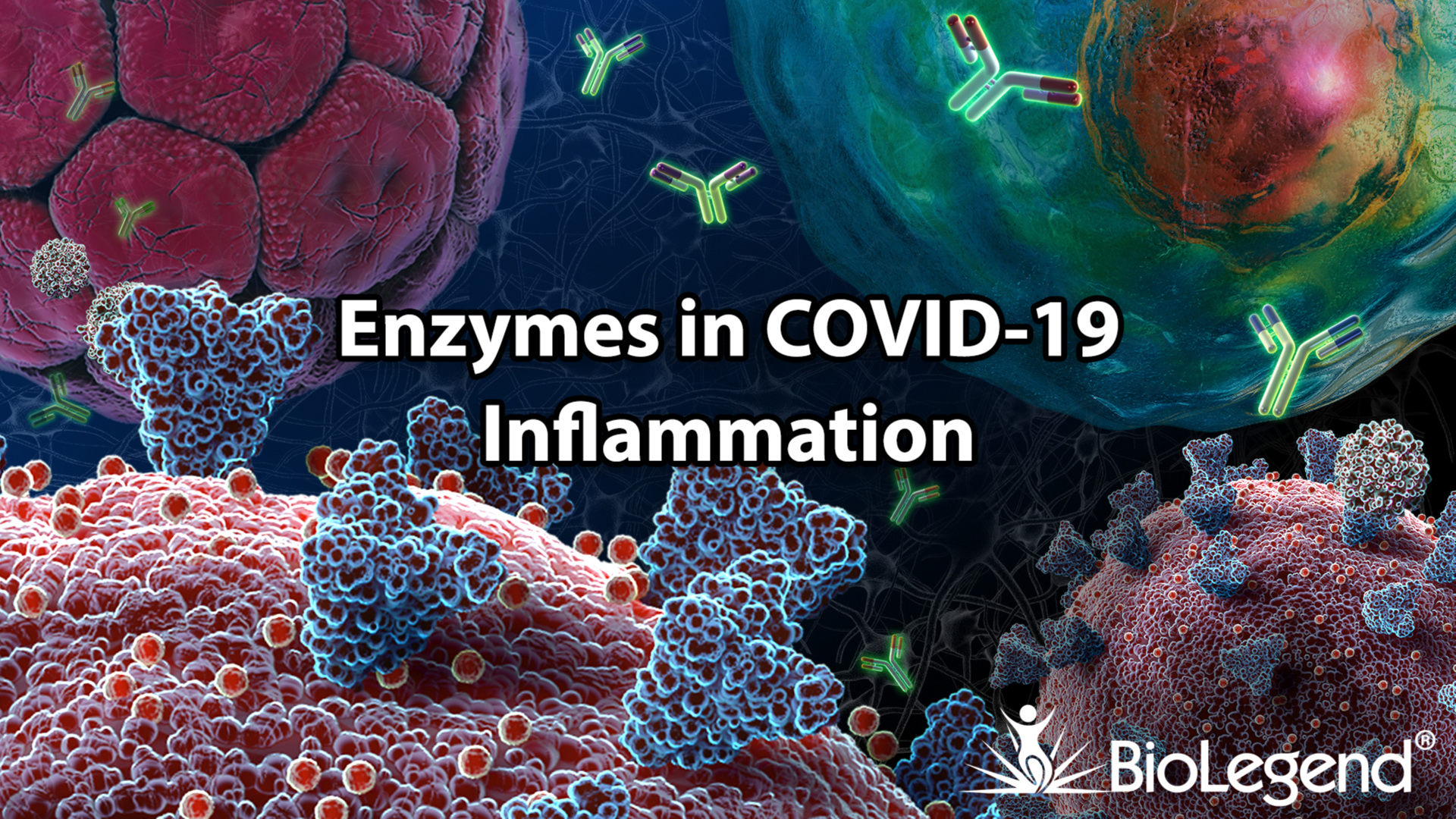 eLearning Video Library