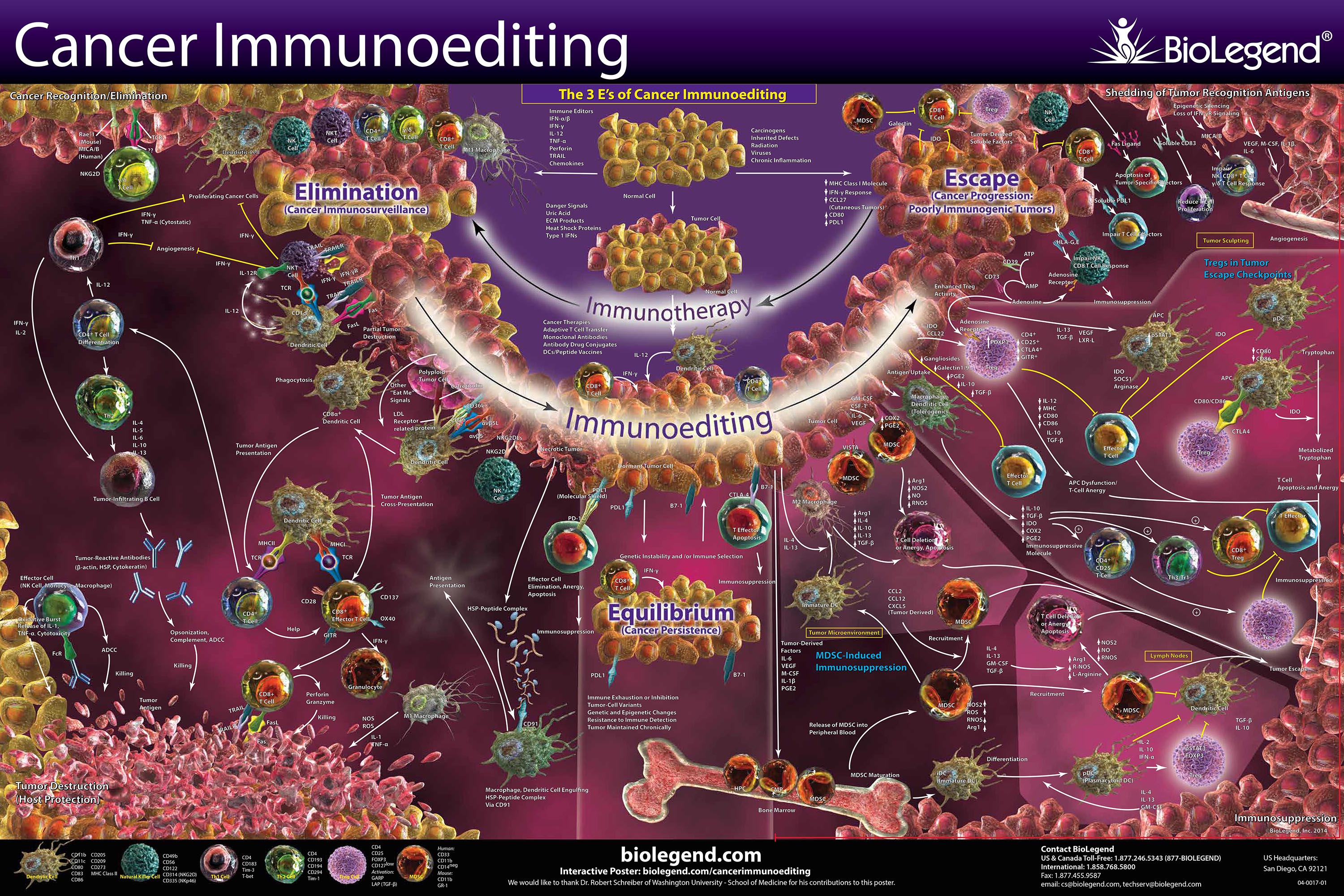 Cancer Pathways Overview