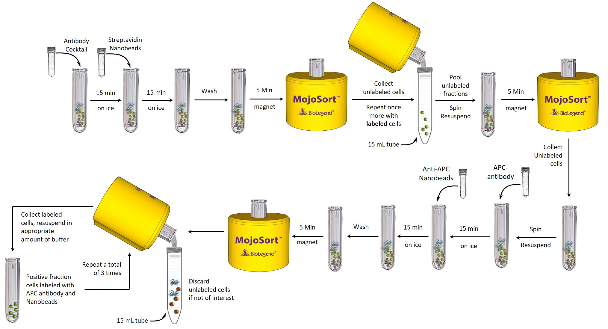 Protocol MojoSort™ Mouse CD4+CD25+ Regulatory T Cell Isolation Kit