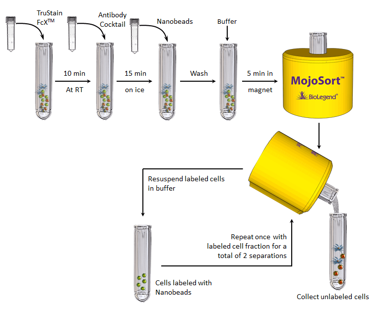 Protocol MojoSort Human CD14+ Monocytes Isolation Kit Protocol