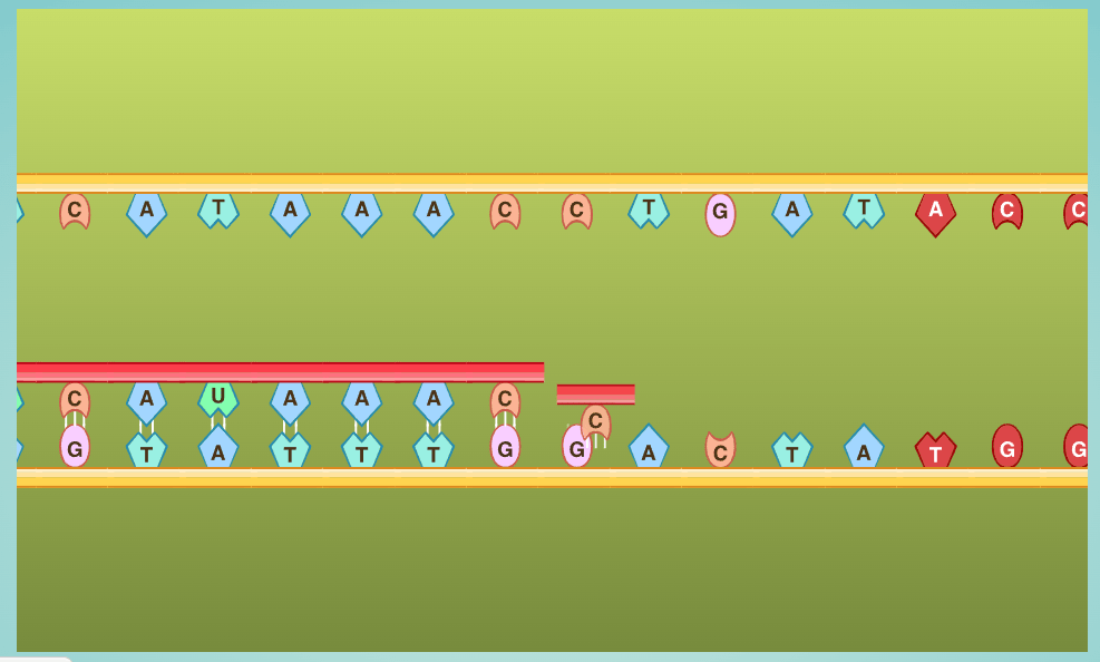 DNA Mutations Activity