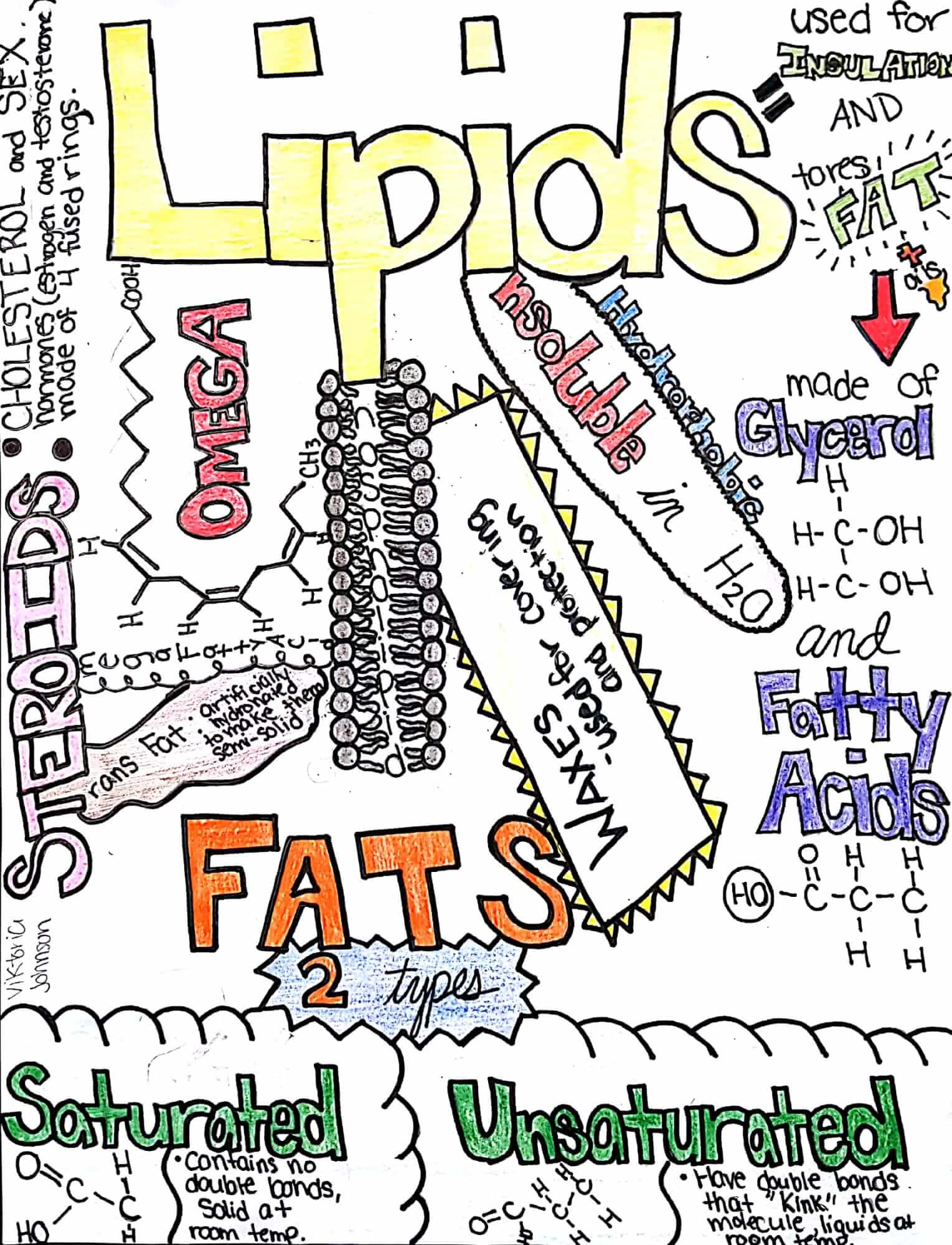 Design Your Own Sketchnotes on Macromolecules