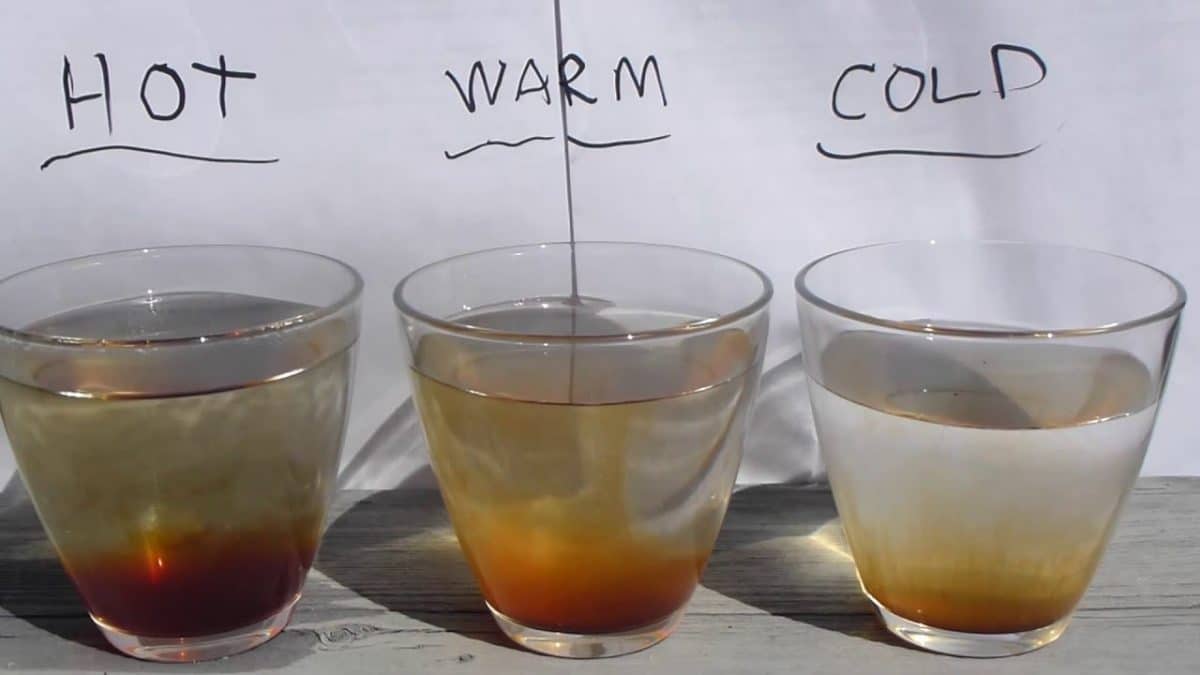 Osmosis vs. Diffusion 101 Definitions, Examples, and Practice Problems