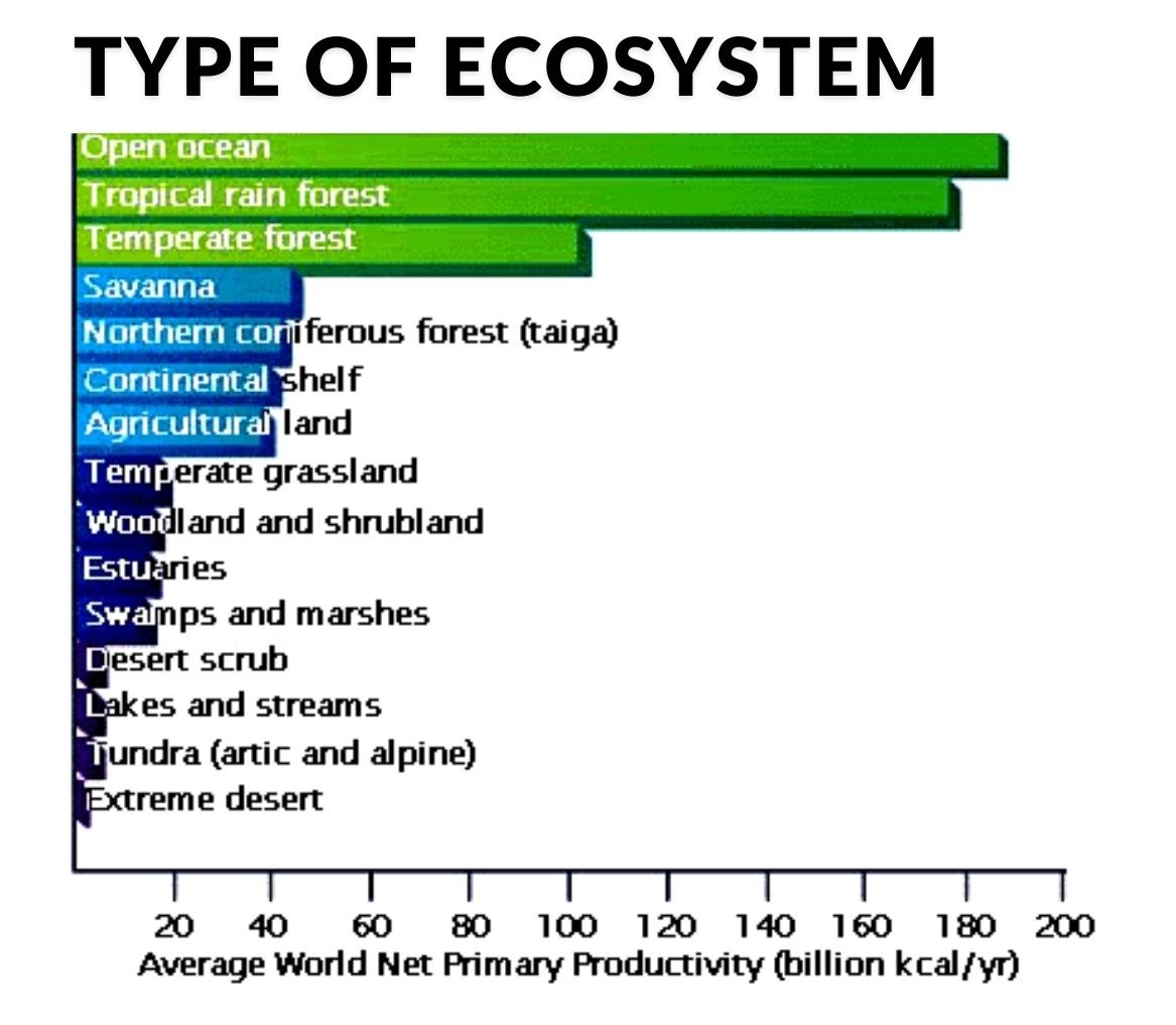 Net primary productivity Definition and Examples Biology Online