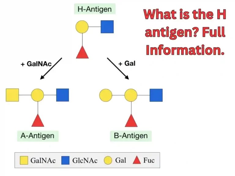 Biology Biology Study Point