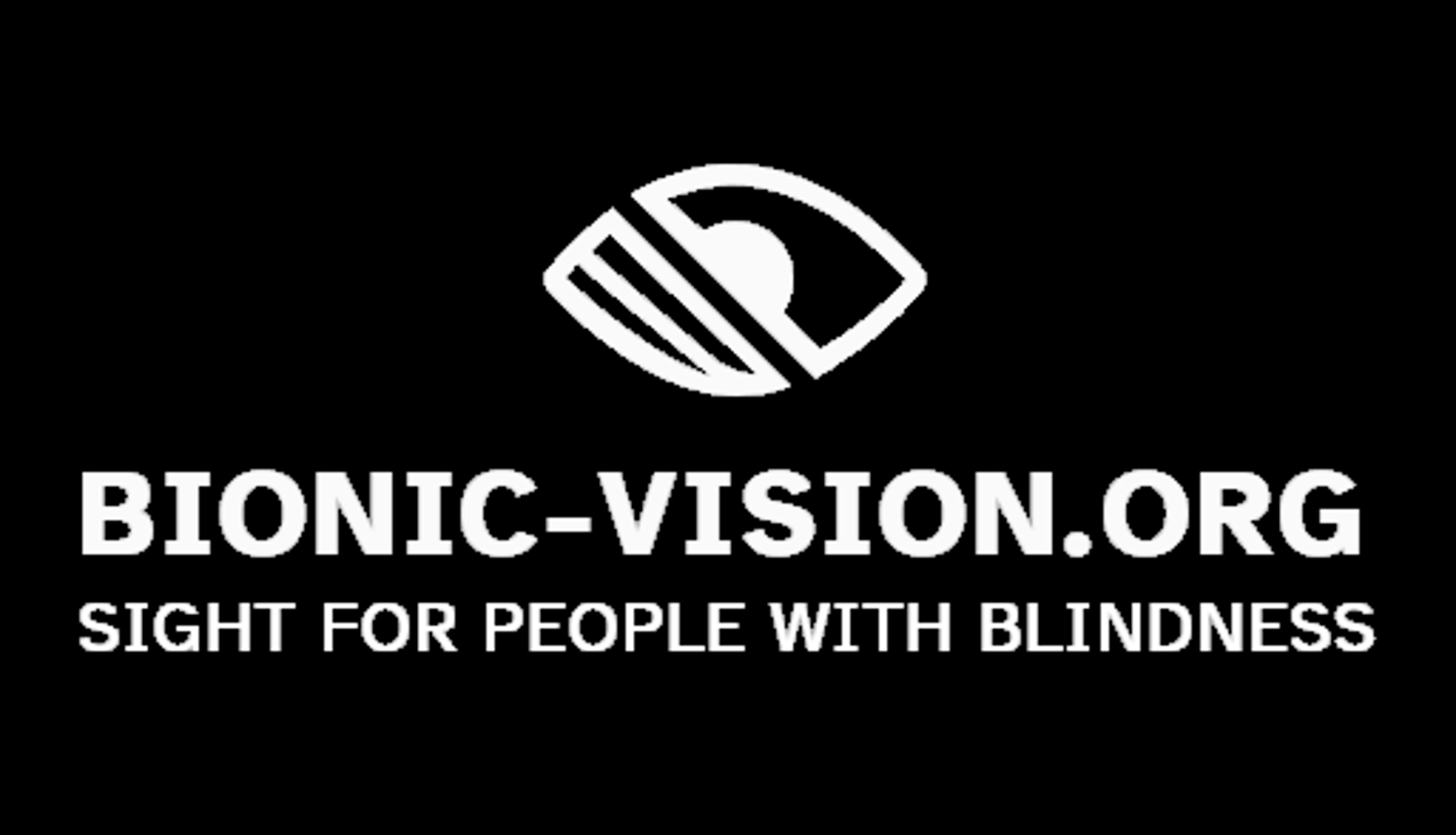 bionic-vision.org | Research Groups