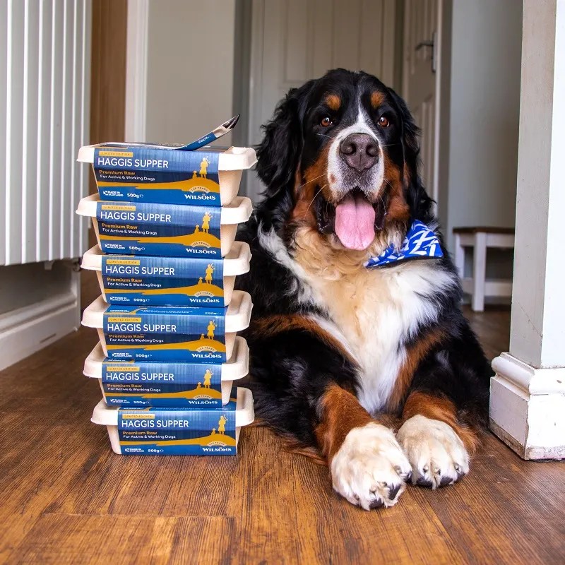 Wilsons Pet Food Sustainability In Pet Food BioPak, 45 OFF