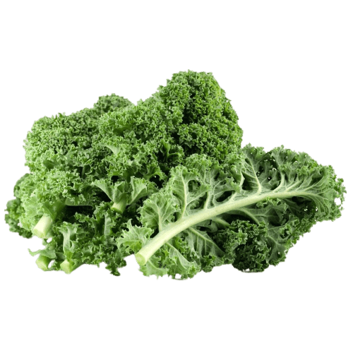 Organic Kale (1kg) BioPhap