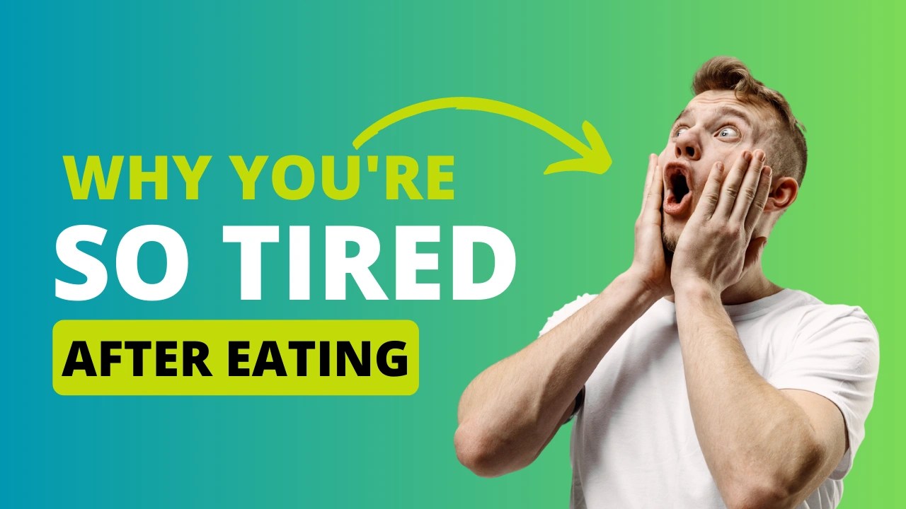 Why you're so tired after eating BioQuest Health