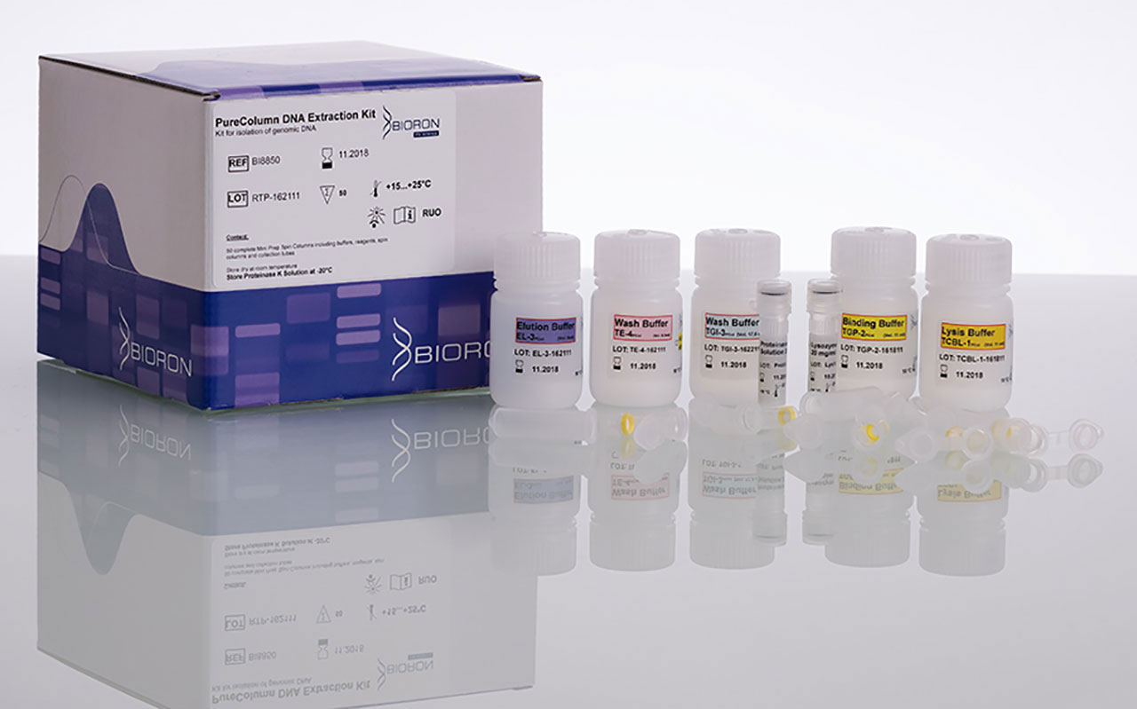 PureColumn DNA Extraction Kit BIORON GmbH