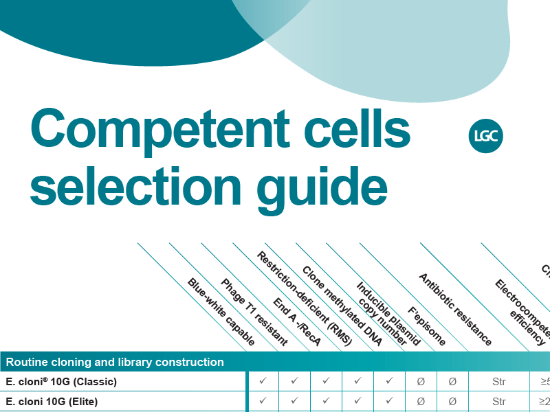 Competent Cells Bacterial Transformation Lucigen