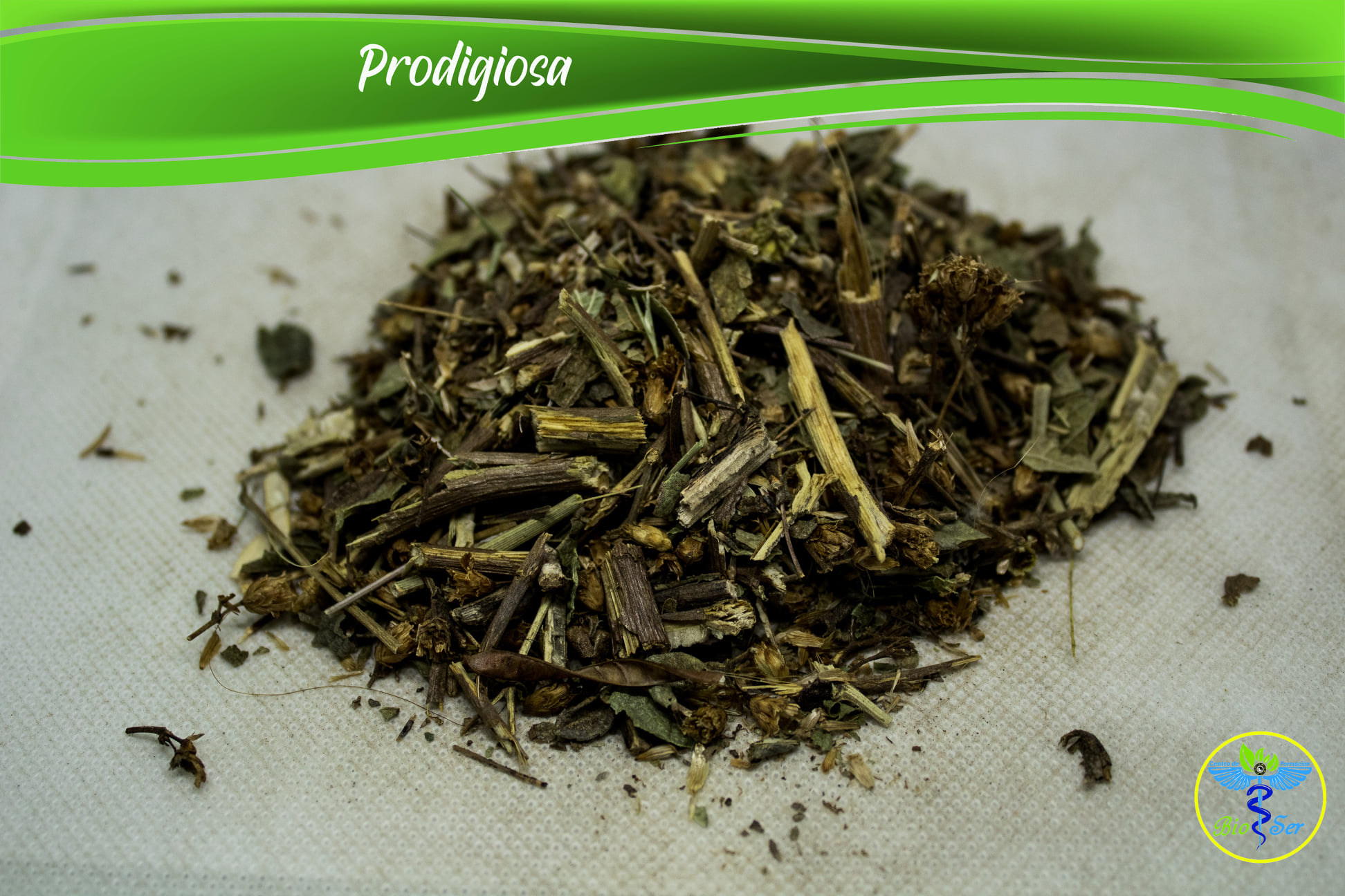 Prodigiosa Centro de Formación BioSer