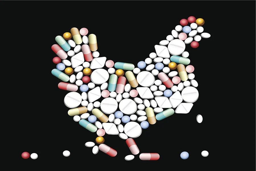 Stop using antibiotics on healthy farm animals WHO