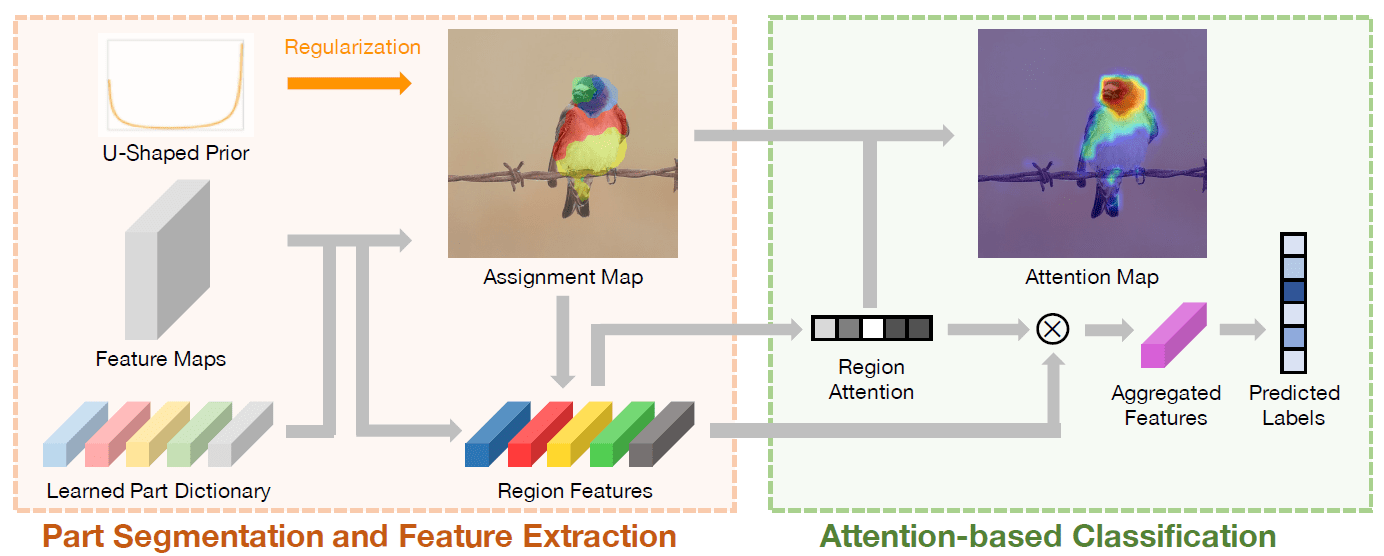Interpretable and Accurate Finegrained Recognition via Region Grouping