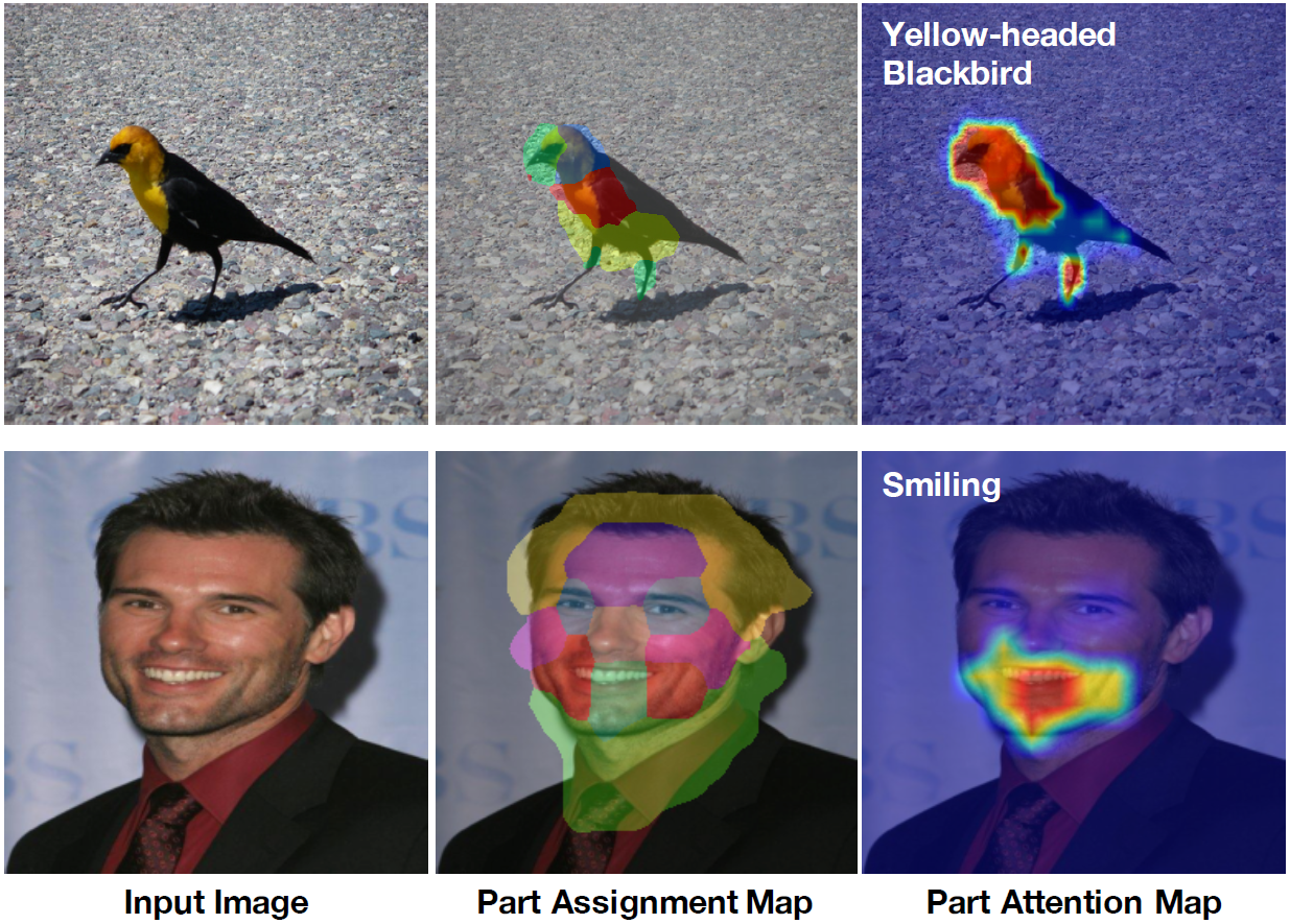 Interpretable and Accurate Finegrained Recognition via Region Grouping