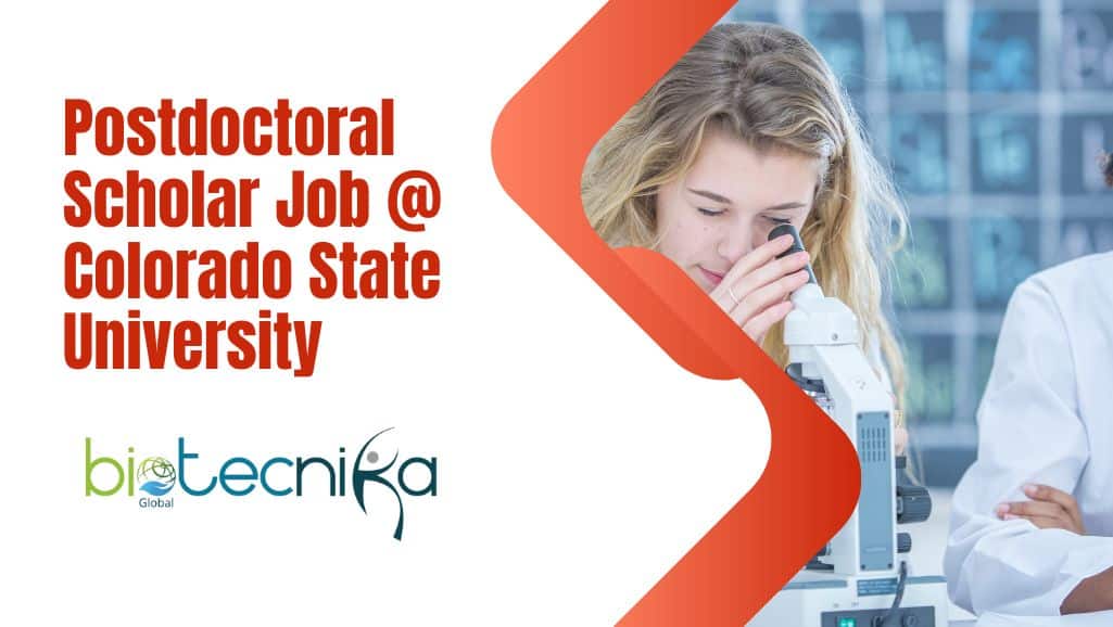 Postdoctoral Scholar Job Colorado State University(03)