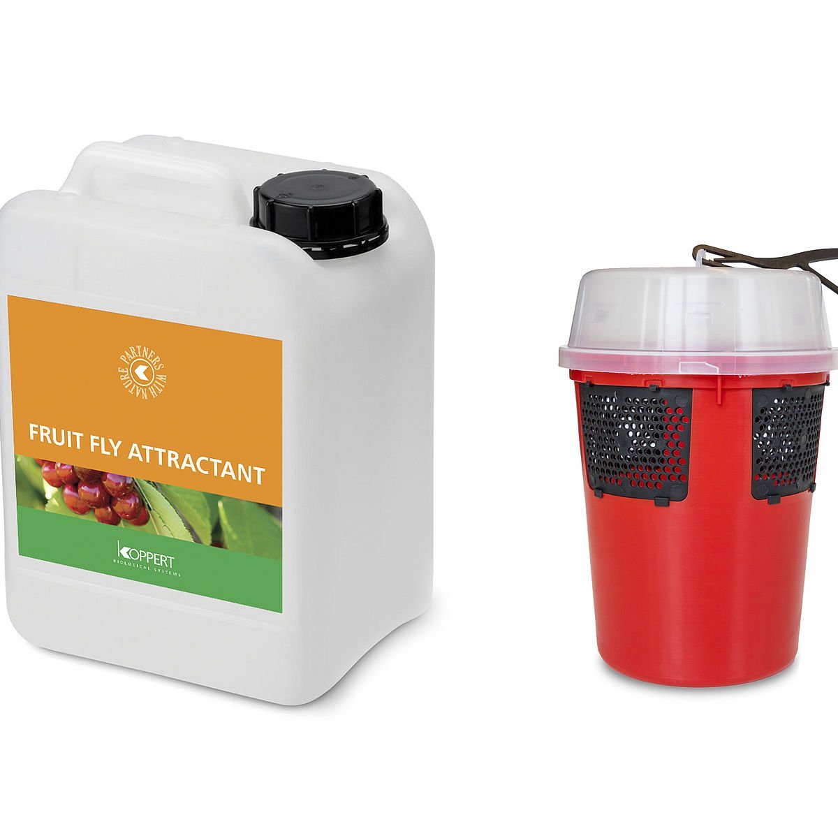 FRUIT FLY ATTRACTANT