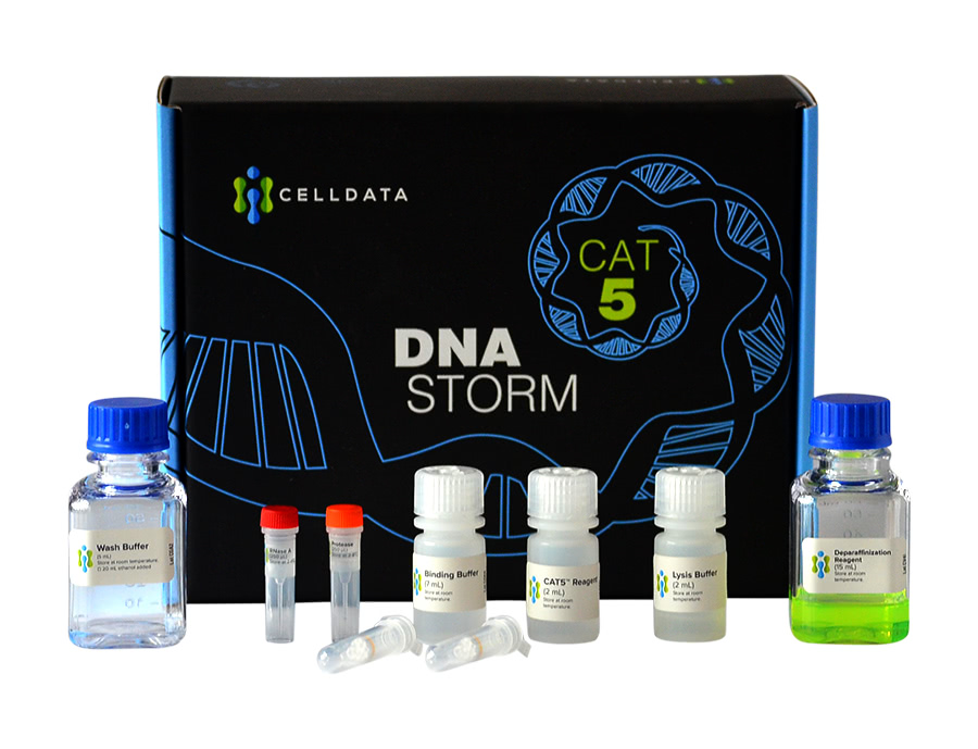 CD502 DNAstorm DNA FFPE Extraction Kit Biotrend