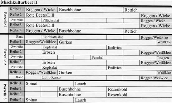 Mischkultur