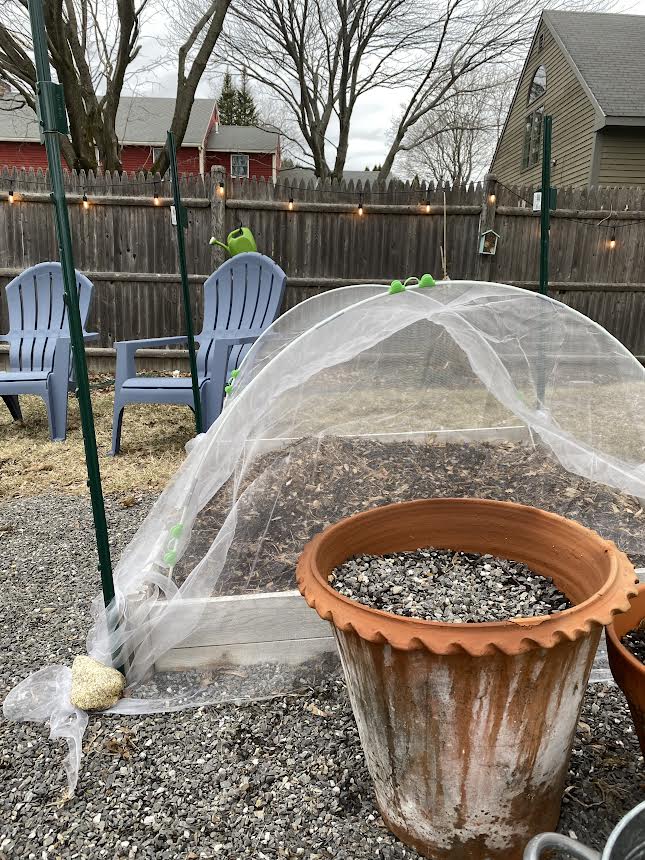 How To Easily Prep Raised Beds for Spring Birchsalt