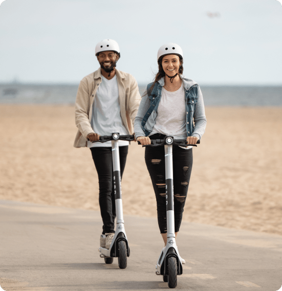 Careers Bird · Enjoy the ride