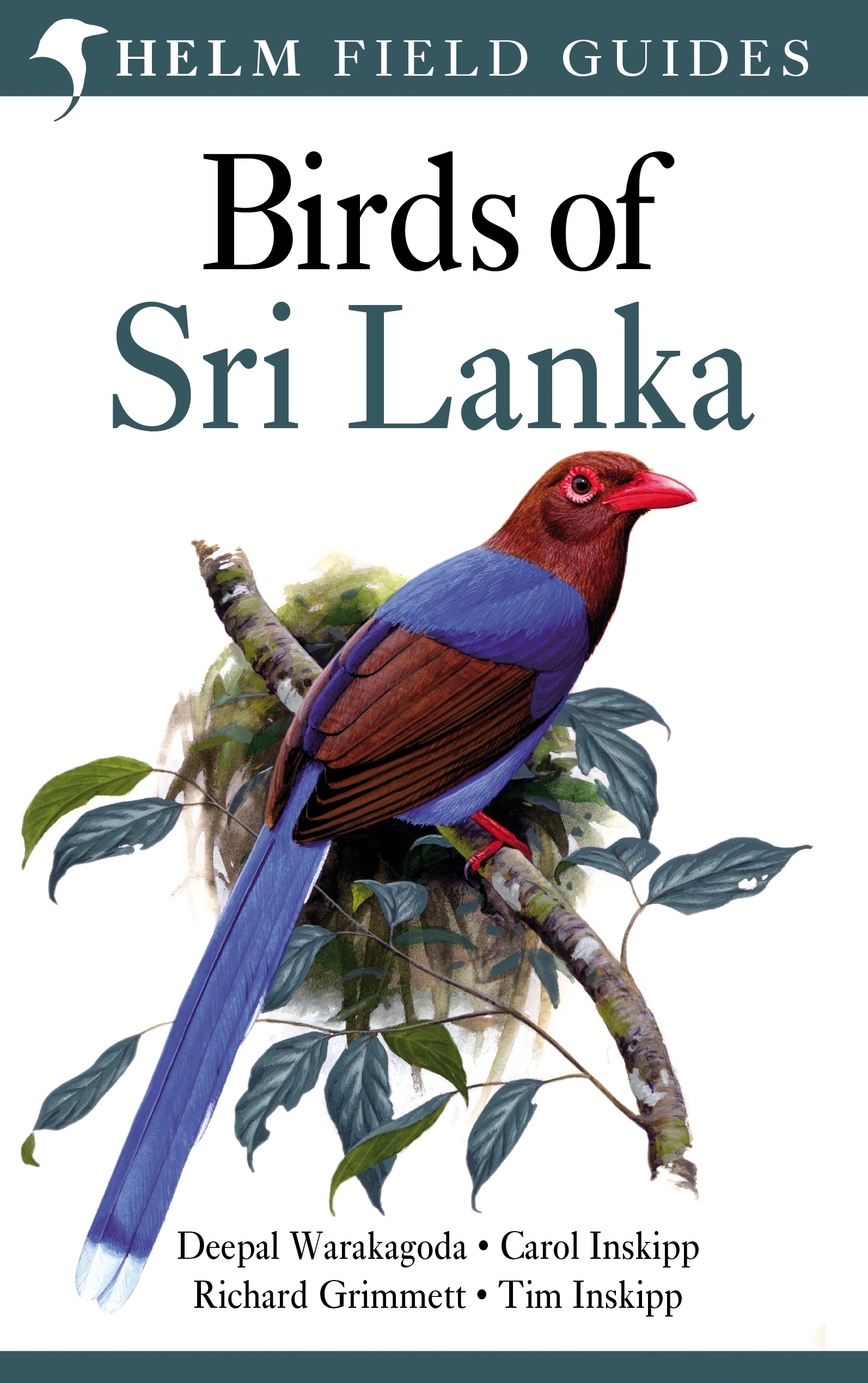 Birds of Sri Lanka BirdGuides