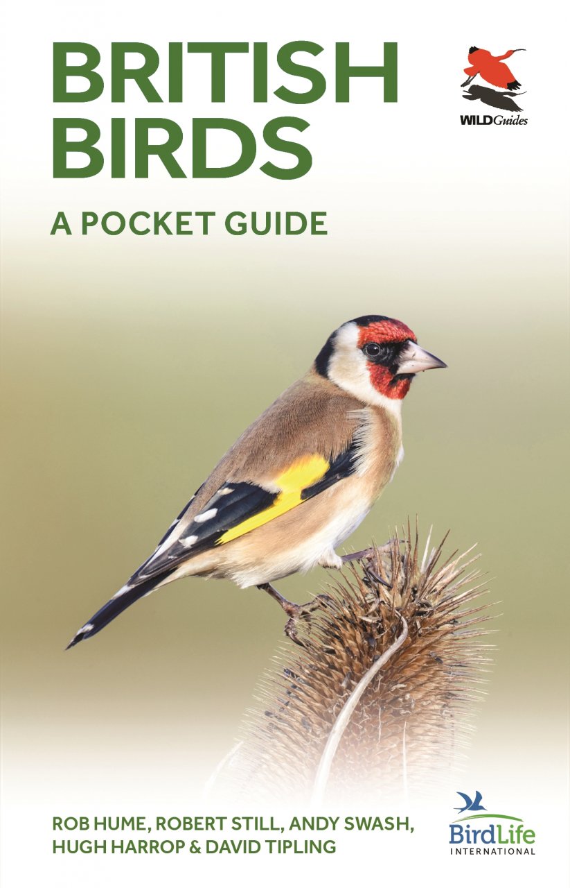 British Birds A Pocket Guide BirdGuides