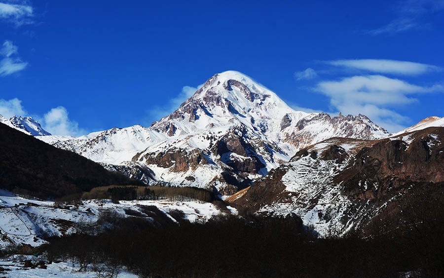 Georgia Winter 2023-2024 Georgia: Mountain And Steppe Birding In Winter - Birding Ecotours