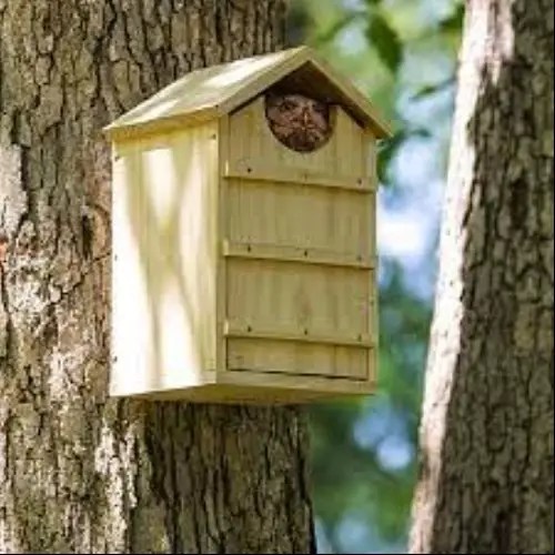 Best Owl Nesting Box (7 Top Choices) BirdingHub