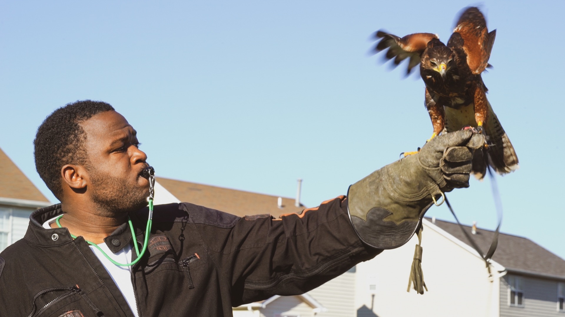 Look Up How Falconry Transformed a Family BirdNote
