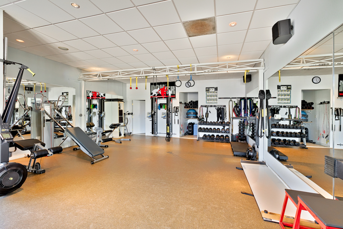 The Space Bird Rock Fit