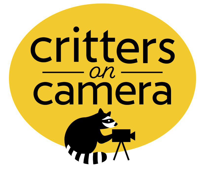 Contests & Promotions Birds and Blooms