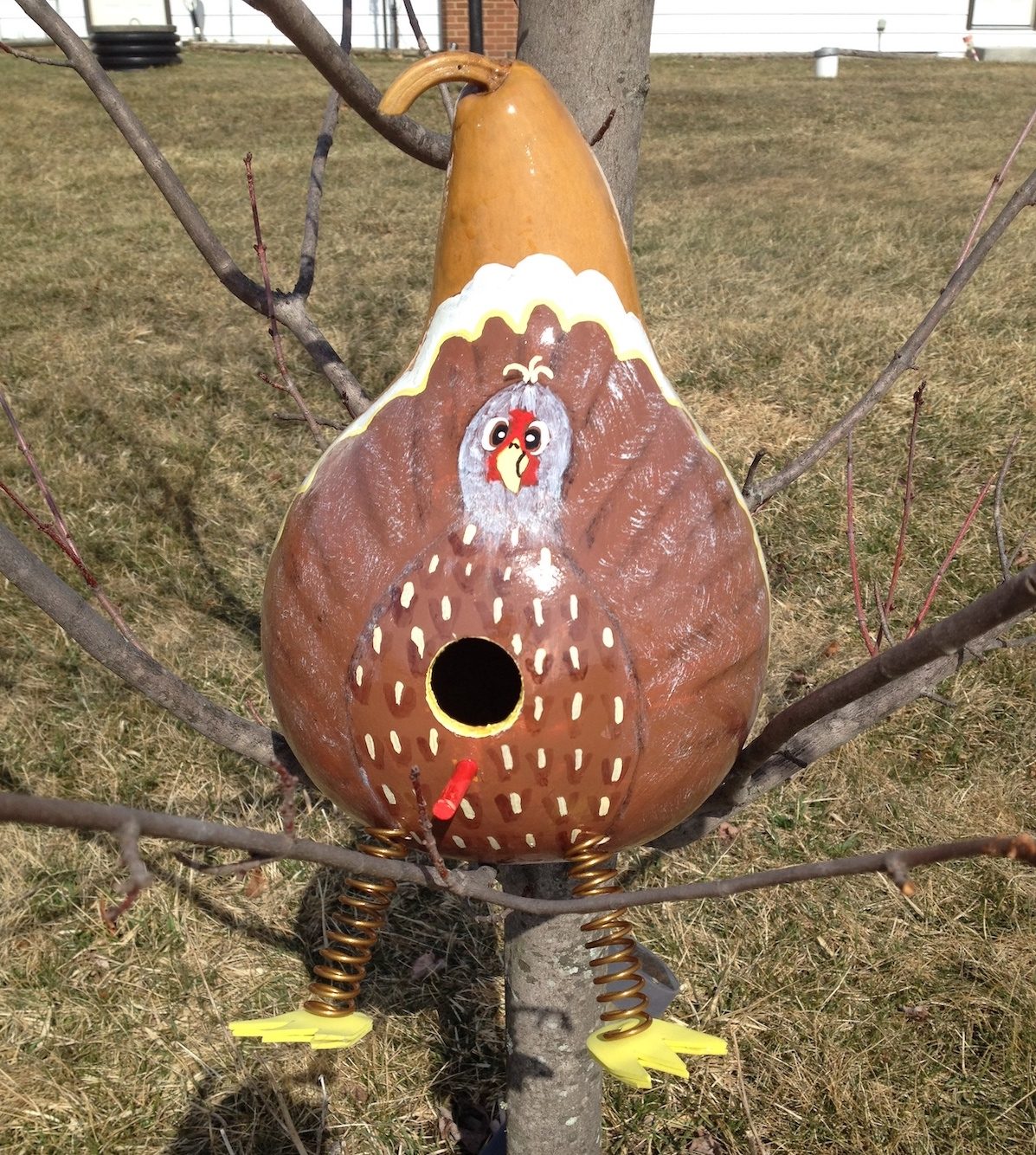 15 Creative Painted Birdhouse Ideas Birds and Blooms