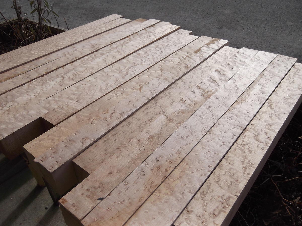 Birdseye Maple Wood / Exotic Figured Maple