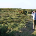 Les Landes May 2006. Photo by HGYoung