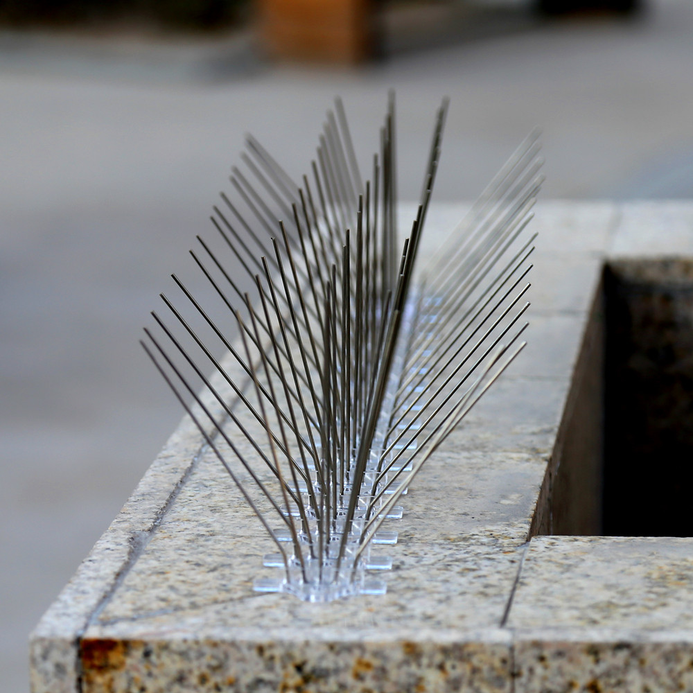 Homemade Anti Bird Spikes Homemade Ftempo
