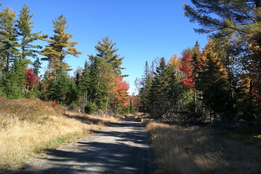 Peak Foliage Maine 2023