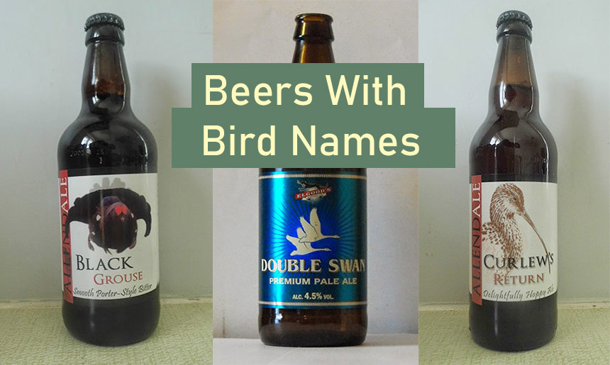 10 Beers With Bird Names For Beer & Bird Lovers