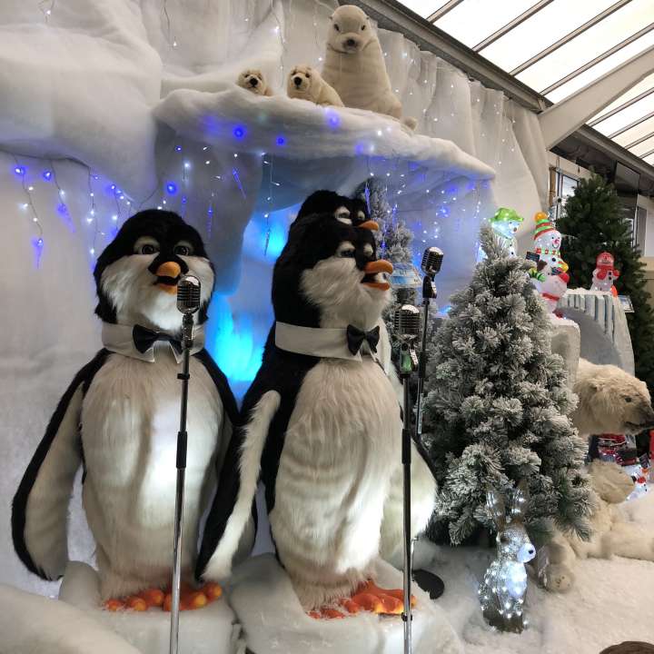 Christmas Attractions Birkacre Garden Centre