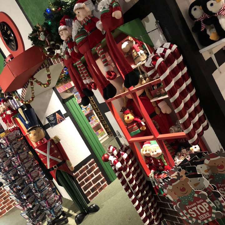 Christmas Lights and Decorations Birkacre Garden Centre