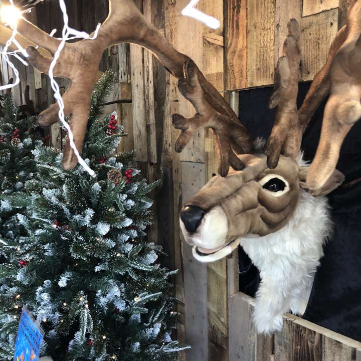 Christmas Attractions Birkacre Garden Centre